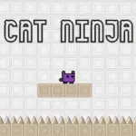 cat ninja